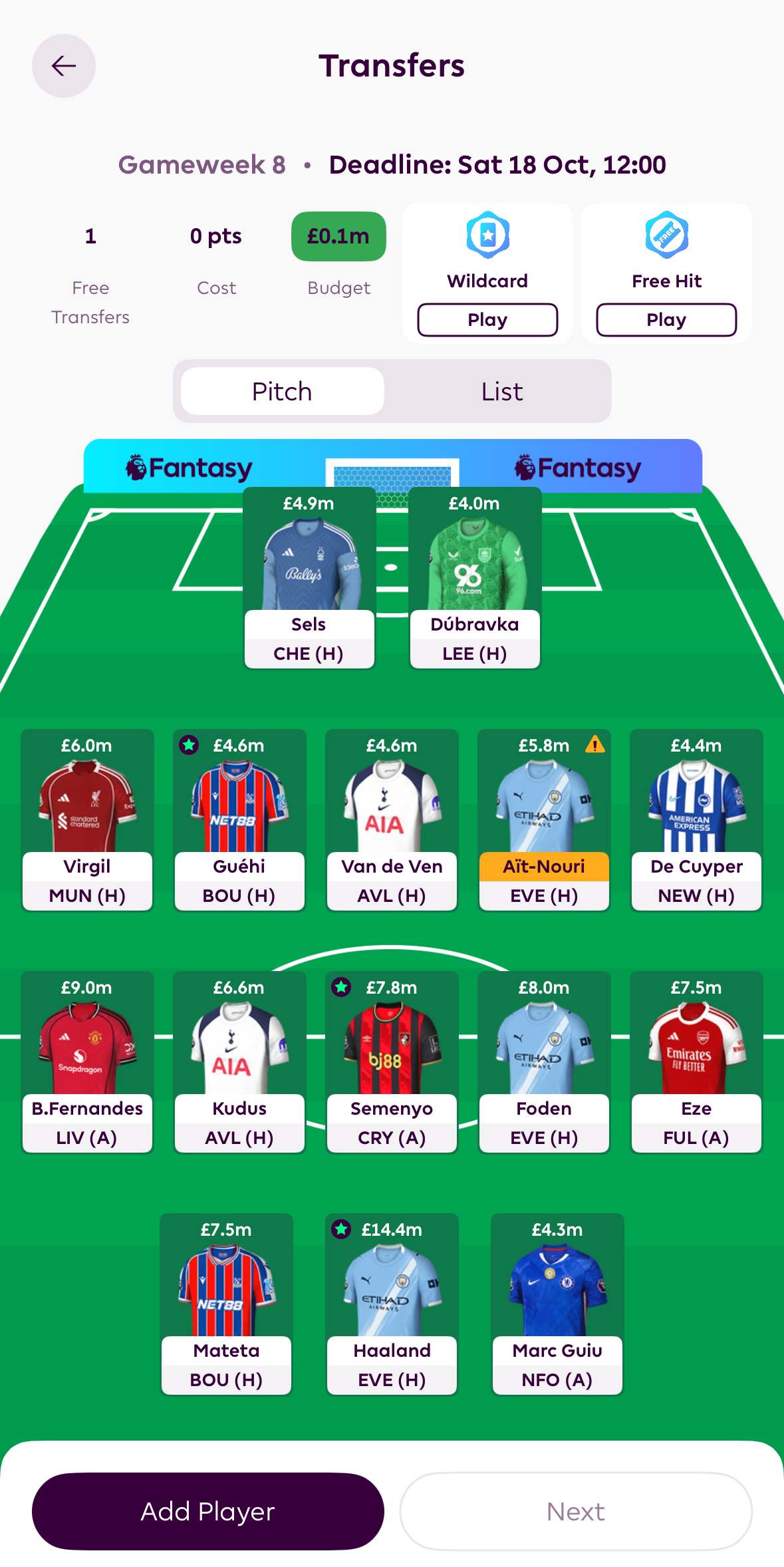 Example of correct FPL transfers page screenshot